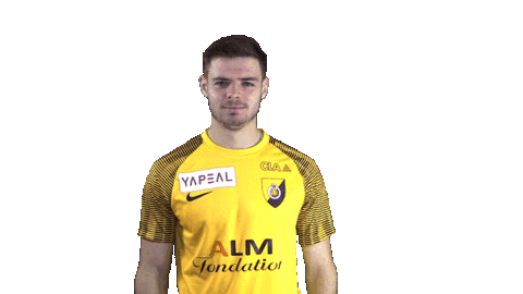 SRDOfficiel football celebration goal silence Sticker