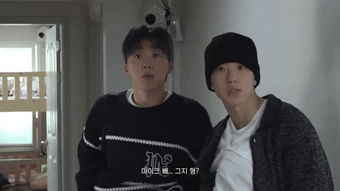 Dumb And Dumber What GIF