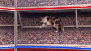 countdown to valentine's day cat bowl GIF by Hallmark Channel