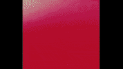 엔하이픈 GIF by ENHYPEN