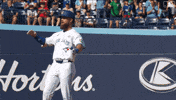 Celebrate Lets Go GIF by Toronto Blue Jays