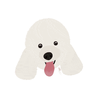 Dog Pet Sticker