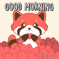 Good Morning Love GIF