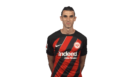 Eintracht Frankfurt Sticker by Bundesliga