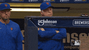 Celebrate Ny Mets GIF by New York Mets