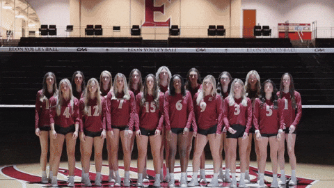 Elon Volleyball GIF by Elon Phoenix