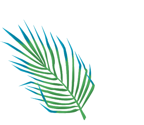 Koslik giphyupload tropical palm palms Sticker