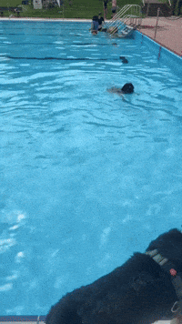 LordBobbel lord maya schwimmen baden GIF