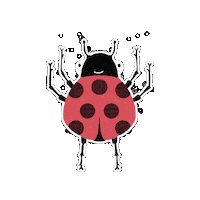 Ladybug Ladybird Sticker
