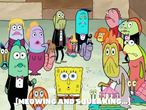 season 6 episode 10 GIF by SpongeBob SquarePants
