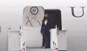 Kamala Harris Hello GIF by GIPHY News