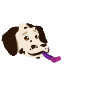 SollaMascotas love happy party dog Sticker