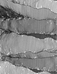 animation test GIF by James Zanoni