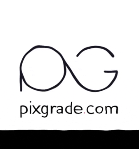 Pixgrade giphygifmaker pixgradelogo GIF
