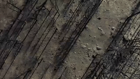 allisonsylte giphyupload GIF