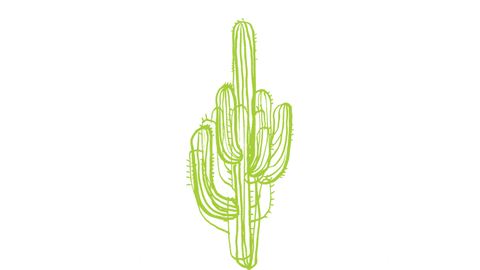 Moving Day Cactus GIF by You Move Me