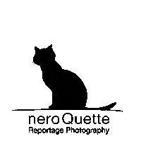 Black Cat Sticker by neroQuette Reportage Photography