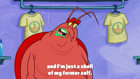 season 9 GIF by SpongeBob SquarePants