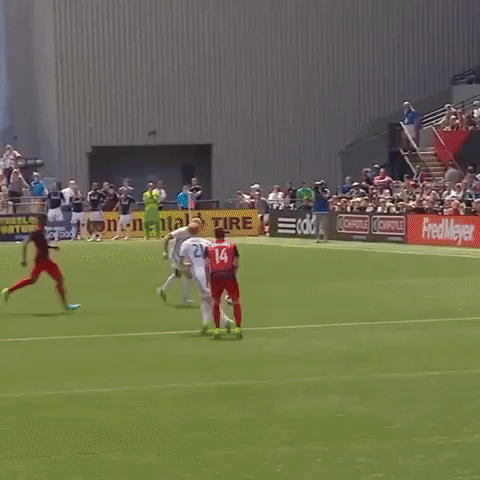 porvla GIF by LA Galaxy