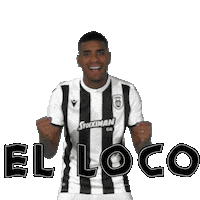 Football Paokfamily Sticker by PAOK FC