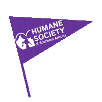 HSSA cat dog animal pet Sticker