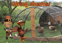 American Football Thanksgiving GIF