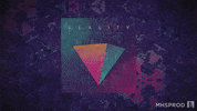 reality GIF by Bro Safari