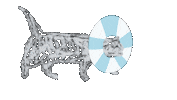 Cat 歩く Sticker