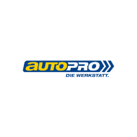 WMSE wmse kfzwerkstatt autopro diewerkstattmarken Sticker