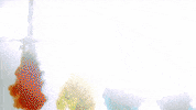GIF by Giffffr