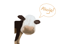 Velika_planina cow akcija velikaplanina Sticker