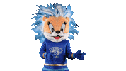 Goal Mascot Sticker by FinHockey