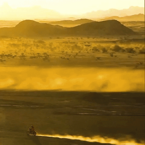 GIF by Red Bull