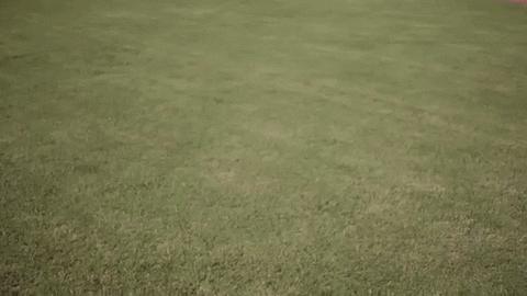 awkward oops GIF by Davidson College