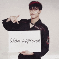Skz Straykids GIF