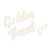 GoldenBreed surf golden surfer byron Sticker