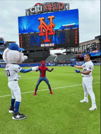 Spider-Man Mets GIF