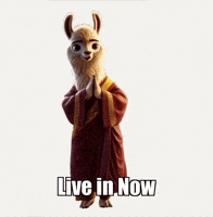 Mindfulness Presence GIF by dalaillamazen