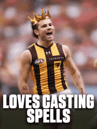 Wizard Afl GIF by Hawthorn Football Club