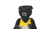 College Panthers Sticker by ODU Admission