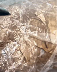 Chicken Cooking GIF by Alex Boya