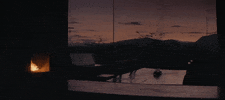 France Ecuador GIF by TIFF