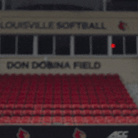 Softball Griddy GIF by Louisville Cardinals