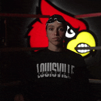 University Of Louisville GIF by Louisville Cardinals