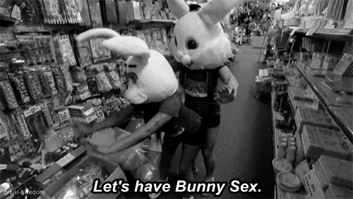 jersey shore GIF