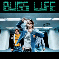 Bug Numberi GIF