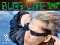 Bug Numberi GIF
