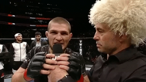Ufc 205 Mma GIF by UFC