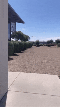 Ja Hearing GIF