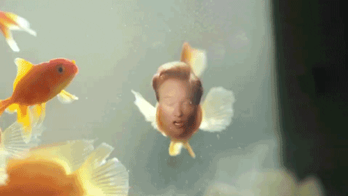 fish conan obrien GIF by Team Coco